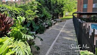 I want to do some experiments with your dick