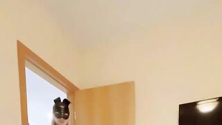 Blowjobs, butt🍑 sex and cum shots - I won