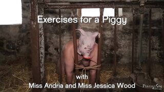 Exercises for a Piggy