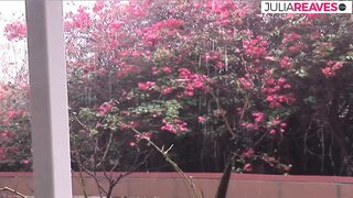 Milf, I Have a Crush on You, Can You Show Me How Sex Works?