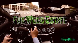 Tattooed and pierced beauty gets spitorasted in threesome