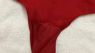 My Red Panties