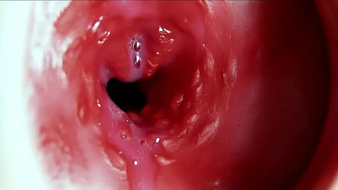 Amateur babe gets a huge cock in her ass