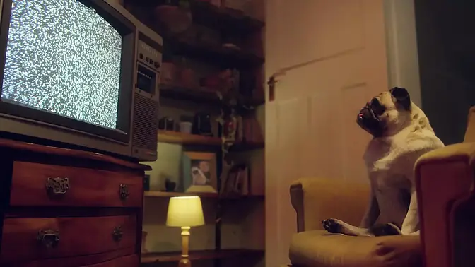 Amateur wife with big tits and perfect ass gets her pussy licked backstage