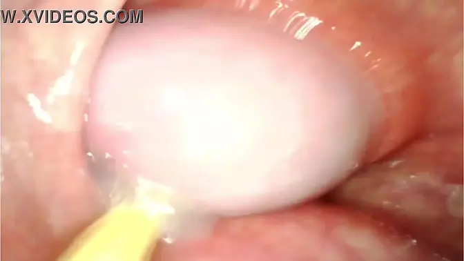 Anal Queen gets pounded with a huge cock and creamed inside