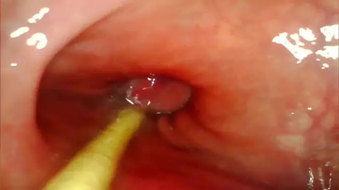 Big Cock POV: Pound and Cum Inside Babe's Asshole