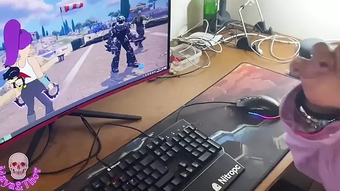 Big-titted gamer girl sucks huge cock while playing Fortnite