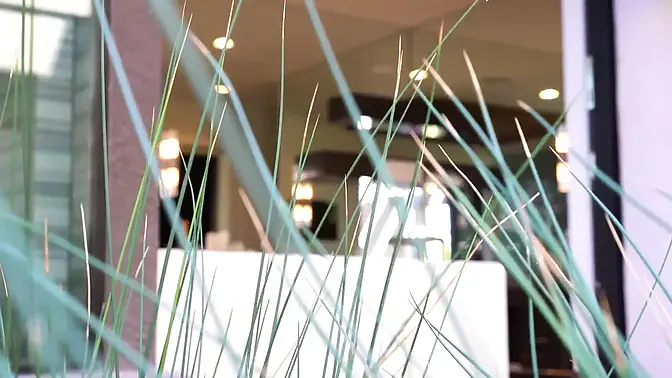 Black cock devours Gianna Dior's wet pussy