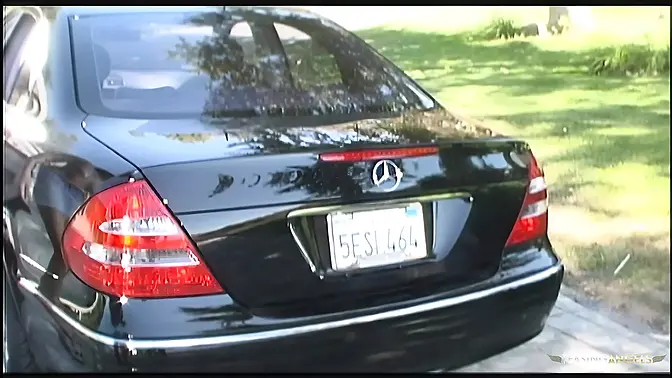 Cowgirl Ride on a Hard Cock