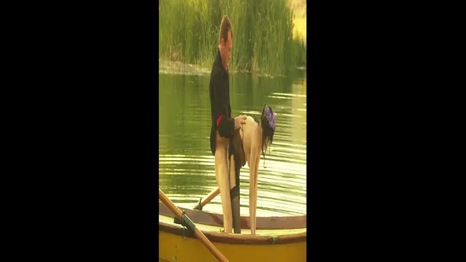 Cytherea's Canoe Caress