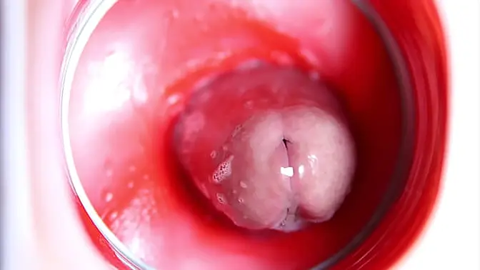 Deepthroat and anal fun with big cock and sex toys