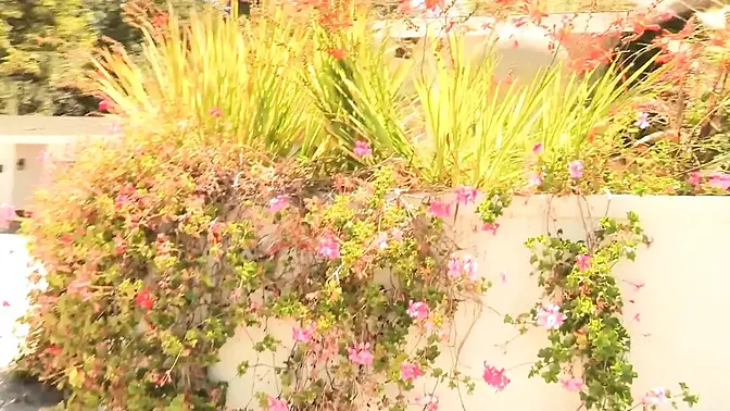 Dyke duo 69 and lick each other's twats by the pool