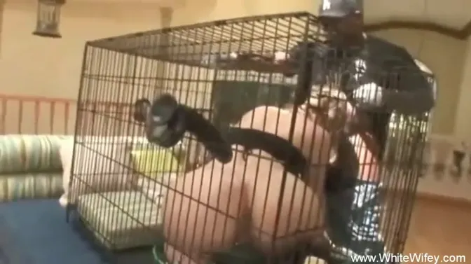 Ex-Wife Agrees to Fuck BBC