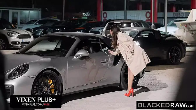 Gianna Dior takes big black cock deep