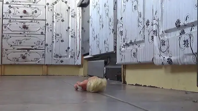 Giantess doll crush part 2