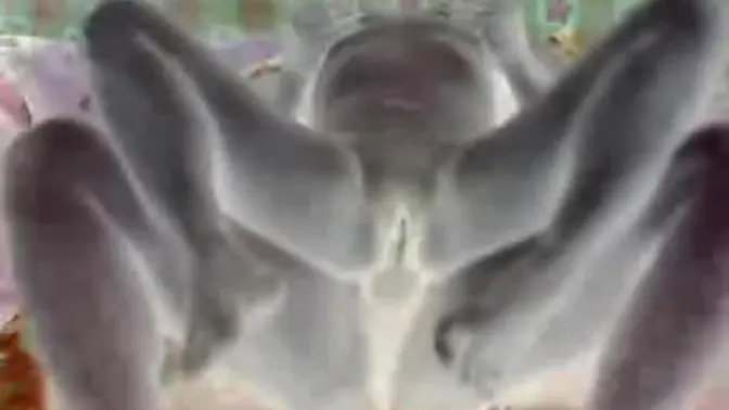 Horny slut takes it hard in the ass