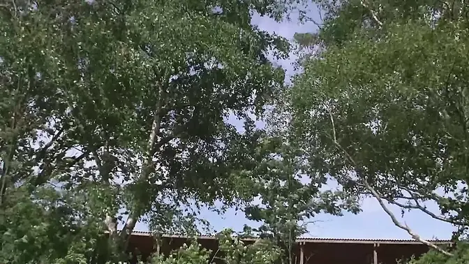 Hot german milf - Outdoor