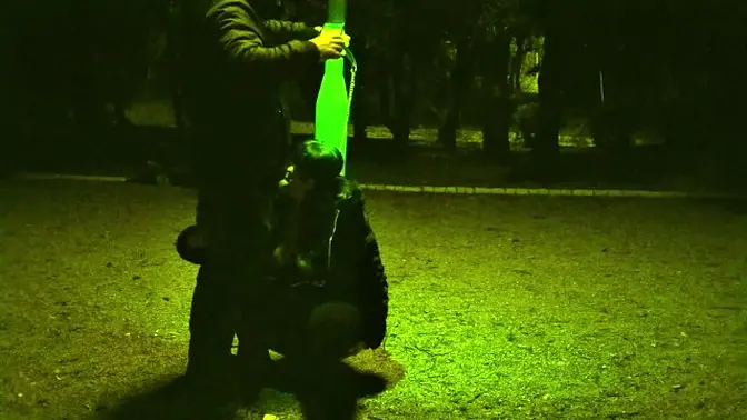 me on a leash like a dog while the traffic passes around us and anyone can run into us    priceless