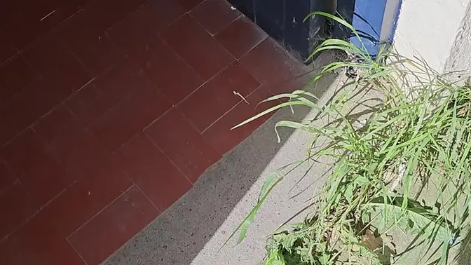 Naughty boy pees in public - POV compilation