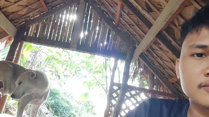 Pinay sluts try huge dick in behind-the-scenes session