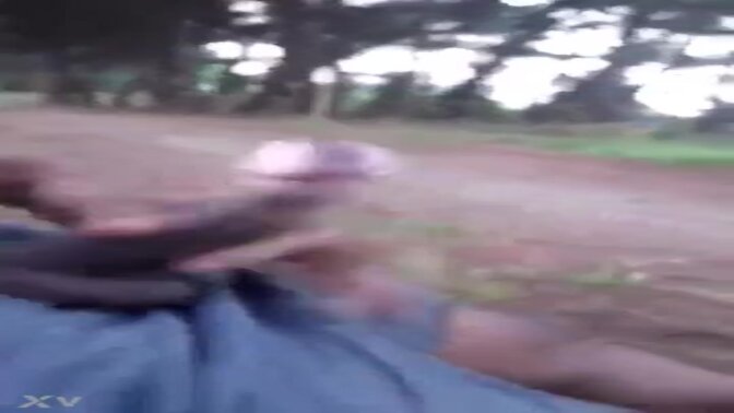 Public Cumming Display