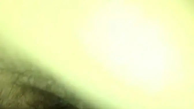 Reconnecting with Ex Leads to Milf Creampie