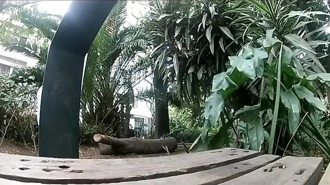 Redheaded Amateur Flashes Her Nude Puss in Public