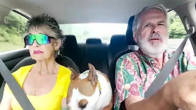 Road Tripping Oahu: Windmills and Beaches