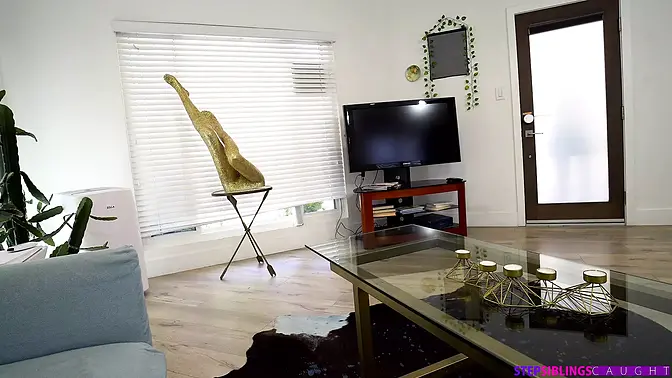 Server Error: 502 Bad Gateway