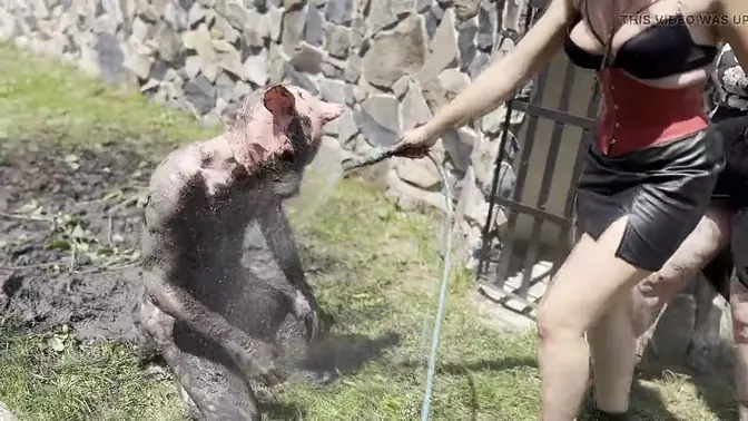 Slutty slave girl cleans her Mistress's dirty feet in mud