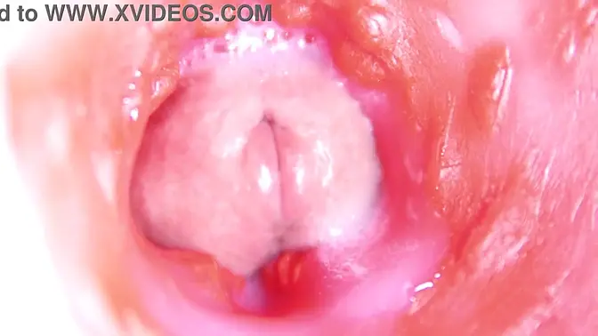 Solo beauty moans wild as big cock dives deep into her juicy anal hole