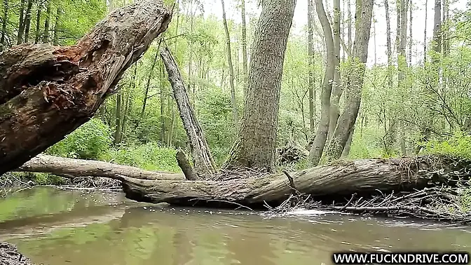 Solo forest session ends with ass masturbation