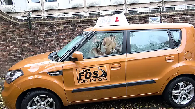 Spanish learner with big tits loves sucking cock at fake driving school