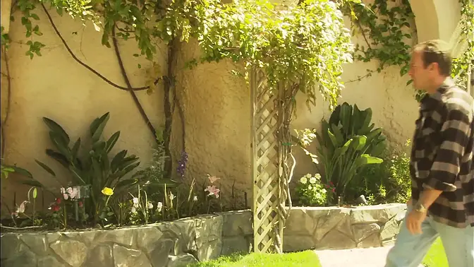 Succulent big black cock in all tits threesome