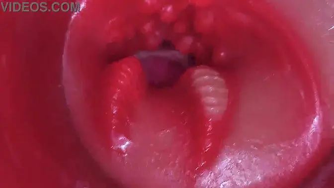 Super Cum in Vagina - Deep Throat and Creampie POV