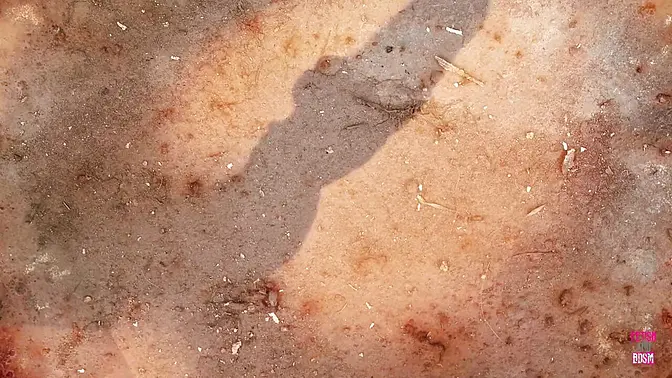 Three couples turn up the heat with wild fuck fest