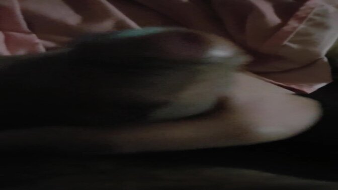 UNA PAJA CASERA ANTES DE DESCANSAR