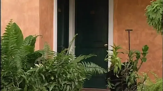 Vintage adult episode showcases goodest scenes