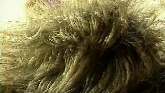 Vintage Lesbians start with a messy blowjob then fuck like sluts