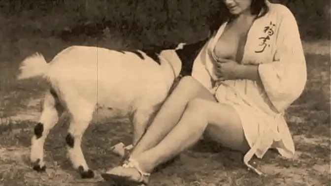 Vintage Retro Hairy Pussy gets doggystyle fucked