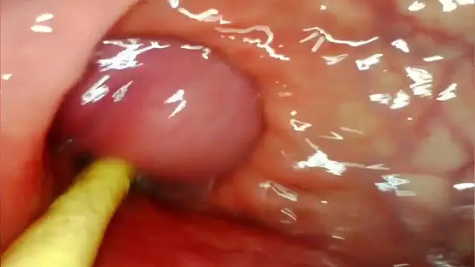 Wild anal queen gets pounded and cummed inside