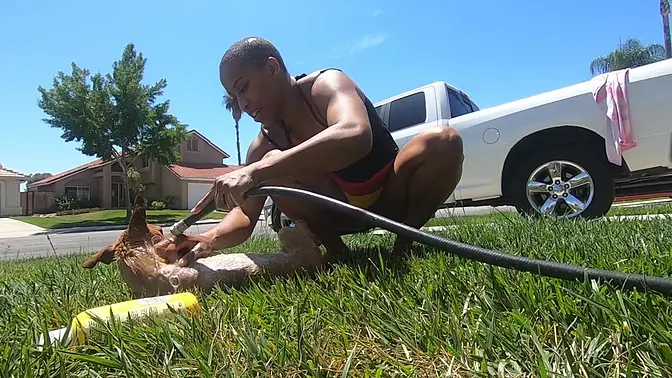 Young mom flashes her ass while washing puppy in public